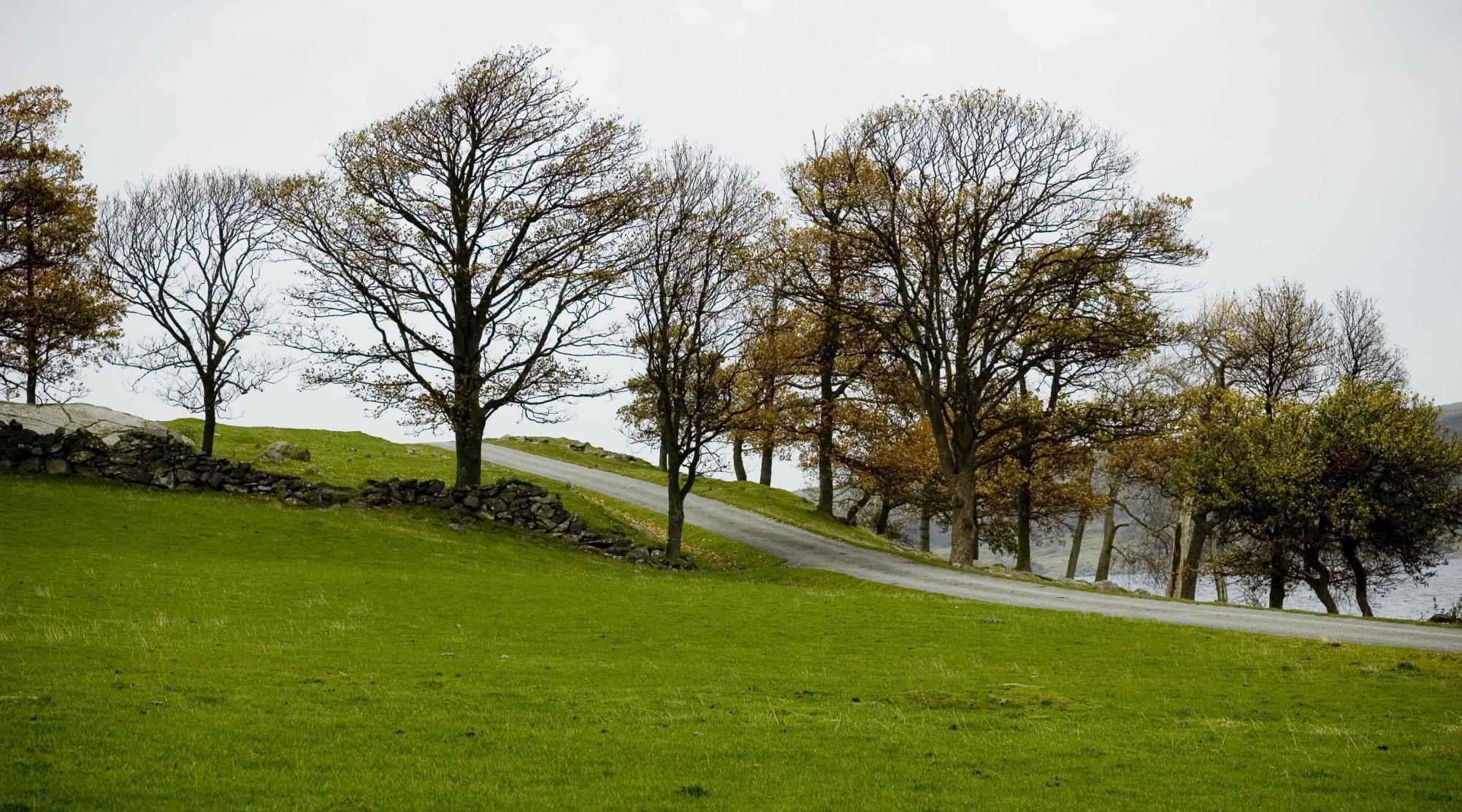 Folkevalgt opplæring Økonomi 30.10.