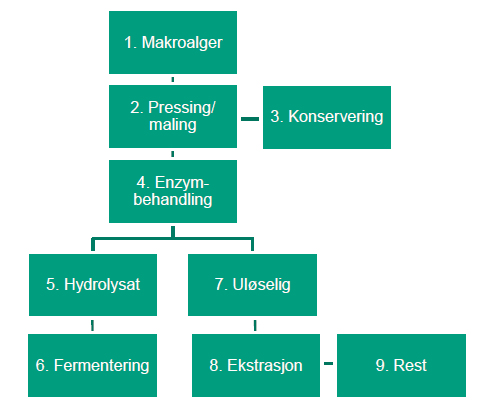 Vedlegg 2. Eksempel på utnyttelse av makroalger gjennom bioraffinering Makroalger utnyttes i dag som råstoff i framstilling av en rekke produkter som f.eks.