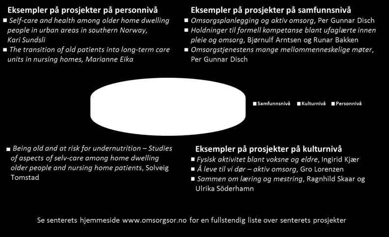 Forskning og utviklingsarbeid Samlet sett så har 2012 vært et aktivt år for Senter for omsorgsforskning Sør på flere plan.