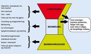 3.5 Omsorgsforskning bedringsprosesser/recovery En annen viktig bit av FACT-modellen er satsingen på bedringsprosesser/recovery i alle behandlings- og oppfølgingsprosesser.