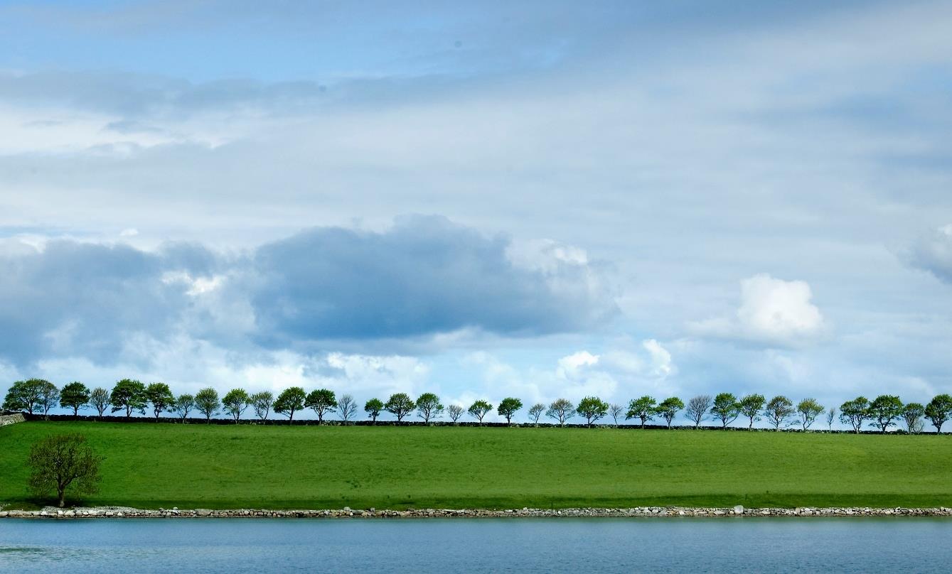 fotostudio Rennesøy kommune