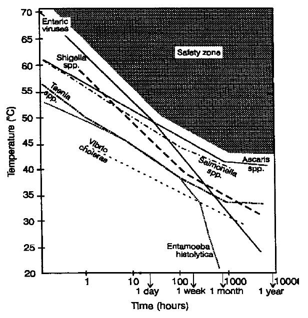 Figur 1.2: Termisk inaktivering av ulike patogene mikroorganismer i laboratorieforsøk (Strauch 1998 i Carrington 2001). 1.5 Sonikering I denne oppgaven er viruskonsentrasjonen funnet som antall plakkformende enheter (pfu) pr.