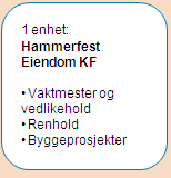 Hammerfest kommune Økonomiplan og handlingsprogram 2013 Årsbudsjett Kommunestyrets vedtak plasstjenester på Hammerfest Lufthavn.