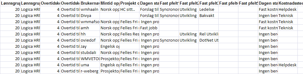 Eksempel på rapport.