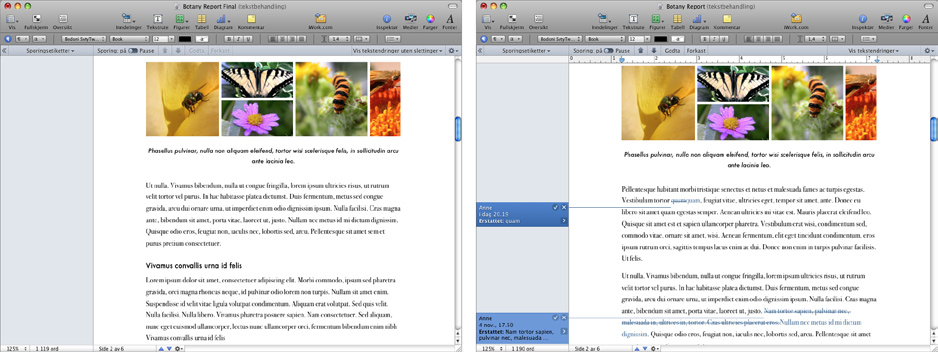 I de følgende eksemplene kan du se Toms originaldokument og versjonen med sporede endringer. Dokumentet viser nå originalteksten i svart og Annes endringer i farget tekst.