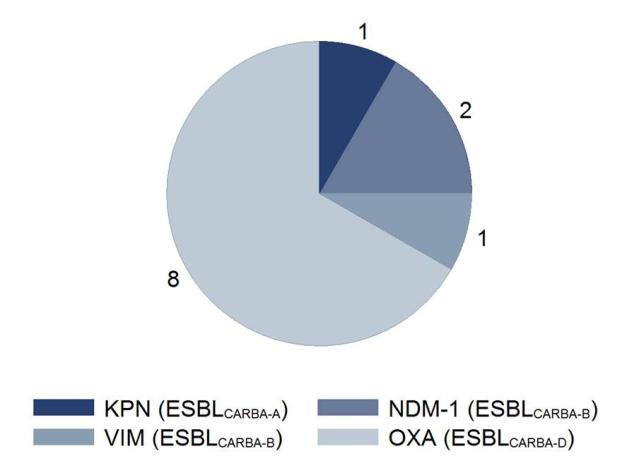 Figur 5. Tilfeller av ESBL KARBA meldt til MSIS per måned i 2012 og 2013 Figur 6.