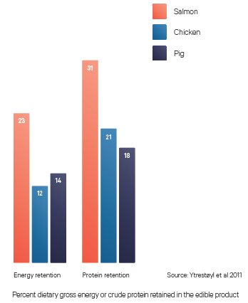 Fiskeoppdrett: ressurseffektivt og klimavennlig Both energy- and protein