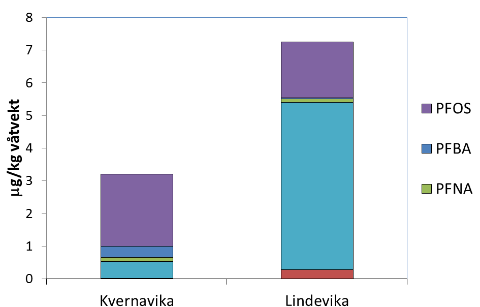 -Albusnegl Resultatene fra PFC analysene er gitt i Figur 3.3.22 og tabell 3.3.8. PFOS er dominerende i albusnegl fra begge prøvepunktene.