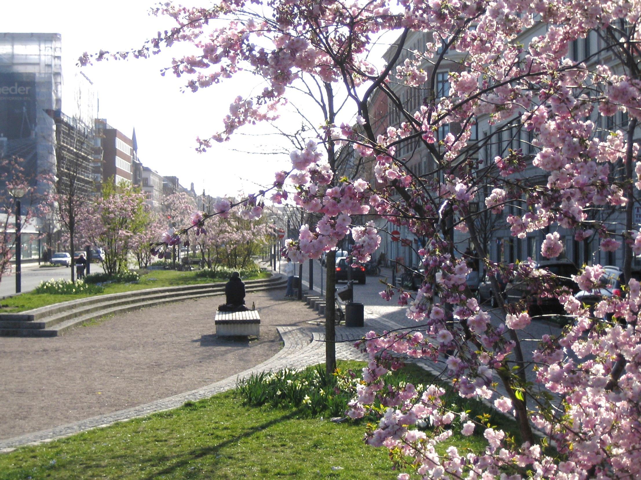 planbeskrivelse Eget kapittel om folkehelse Krav