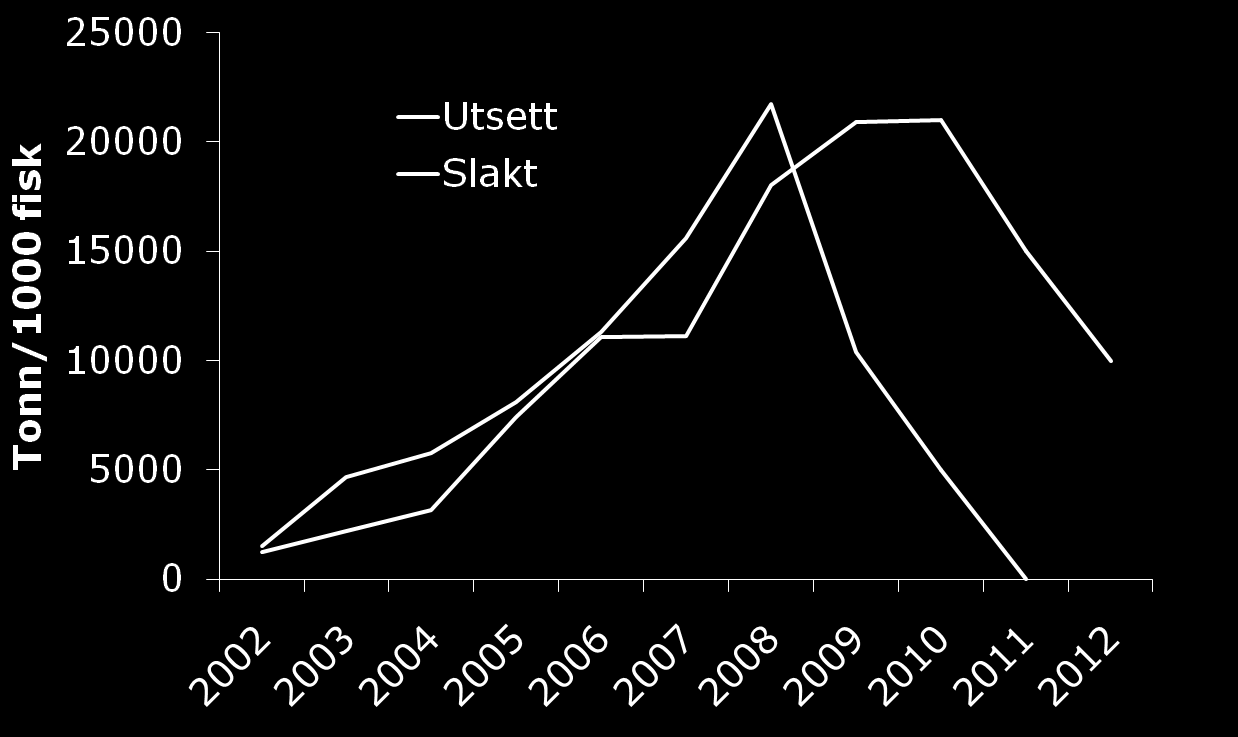 Utsett og slakt, oppdrettstorsk