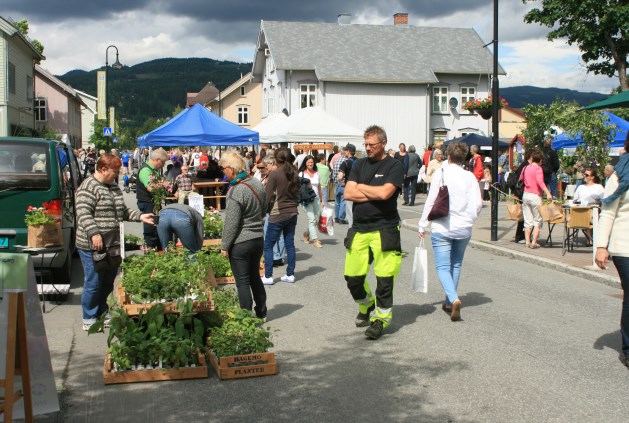 Informasjo n HAGEFESTIVAL PÅ DOKKA 27. - 28. JUNI MUSEUMSDAGEN 7.