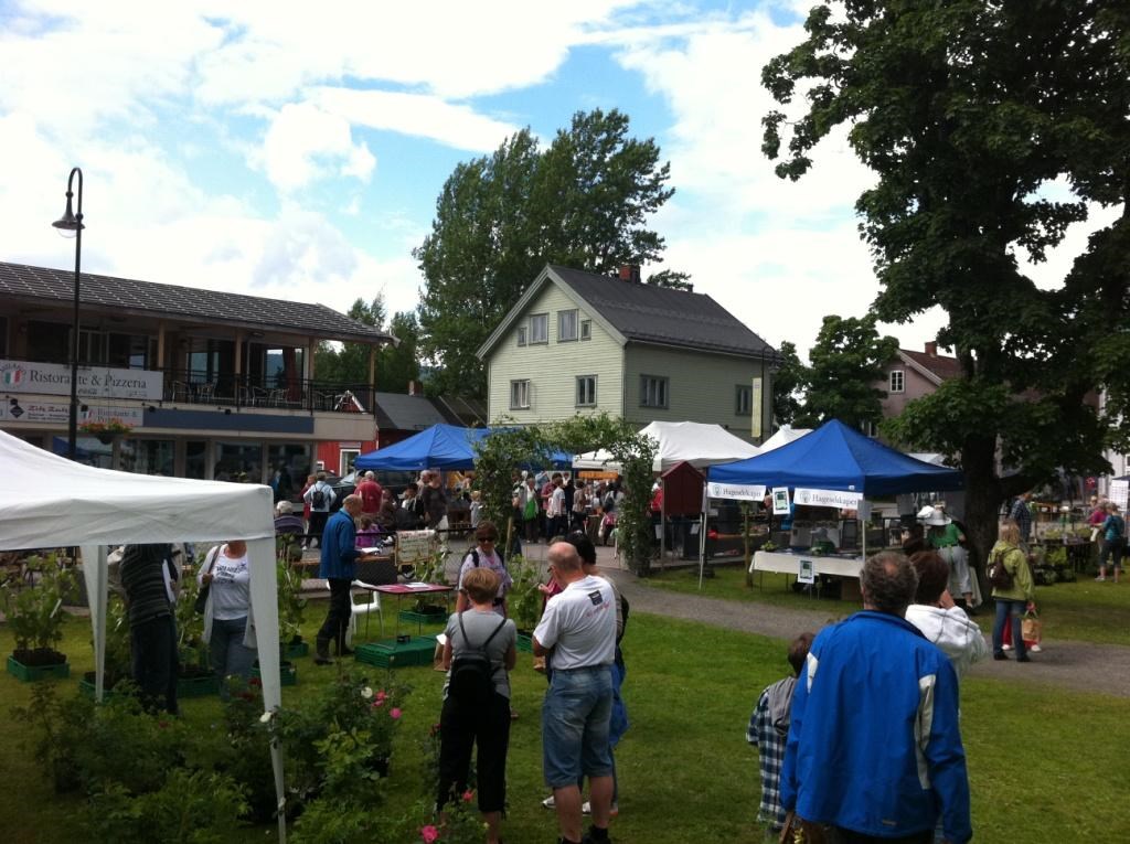 Søndag 7. juni på Lands Museum (museumsdagen). Fra kl. 11:00 til kl. 16:00 har vi planteloppemarked og grønn basar. Vi selger planter og svarer så godt vi kan på spørsmål om hage.