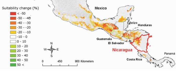 I Colombia forventes det at egnede produksjonsområder vil forskyves mot stadig høyereliggende områder (RamirezVillegas et al. 2012).