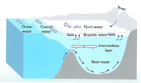 Vekselvirkningen mellom fjordvann og kystvann Utveksling av vannmasser mellom fjorder/indre kystvann og ytre kystvann/kyststrømmen er enkelt illustrert i figur 5.2.