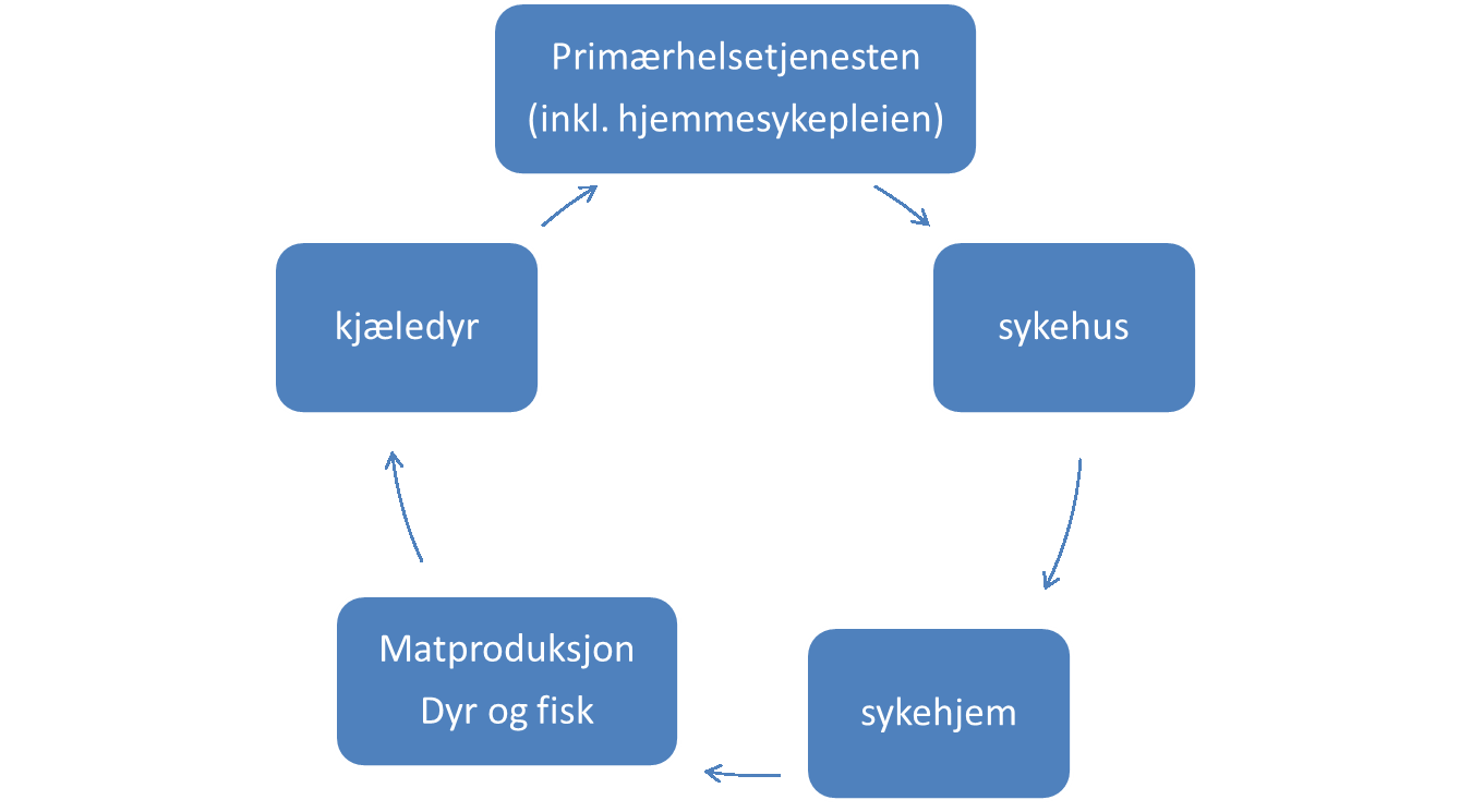 Hvor og hva kan vi måle?