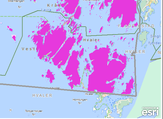 Figur 1 NGUs kartlegging av uranholdig berggrunn i Hvaler Nye bestemmelser om radon i byggeteknisk forskrift trådte i kraft 1. juli 2010.