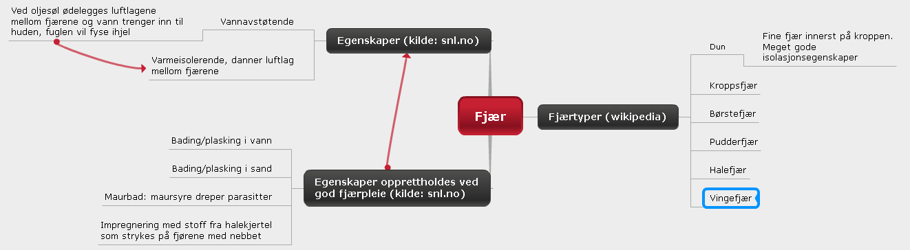 Begrepskart som utgangspunkt