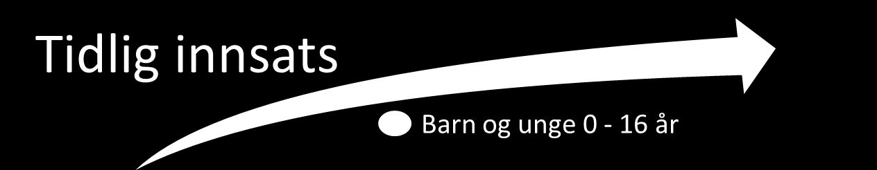 Tidlig innsats: Handler om å jobbe systematisk på individ- og systemnivå i barnehager og skole for å sikre godt tilrettelagte barnehagetilbud, undervisningstilbud i skolen og å tilby bistand til