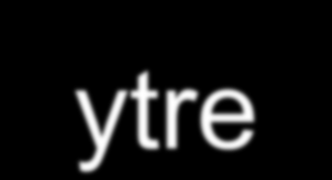 Cyster har en meget sterk ytre membran Cystemembran rupterte når unge cyster ble eksponert for for 0.1 M NaOH, og spirokete-lignende strukturer kan sees.