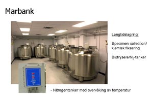 Åpent møte 2. september 2004 Marbio Marbio vil lete etter bioaktive stoffer fra arktiske og sub-arktiske ressurser.