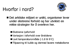 Åpent møte 2. september 2004 som er kuldetilpasset, er nesten ikke forsket på, og det gjør det ekstra interessant å lete her i nord.