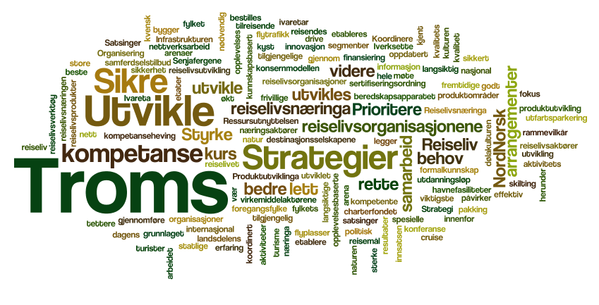 Prioriteringer Grafikk; www.wordle.