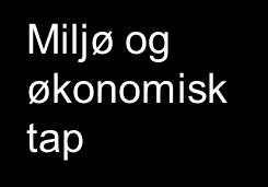 Kokv Hvilk momtr har vi vurdrt Liv og hl Dyrvlfrd Fik, platr og dyr Tillit til mat K o k v Skad for liv og hl ho mk 0 Ig kad for hl 1 Lit kad for hl Modrat kad for hl 6 Stor kad for liv/hl 6 Skad for