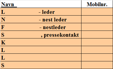 FELLINGSLAG I LØTEN KOMMUNE 2009