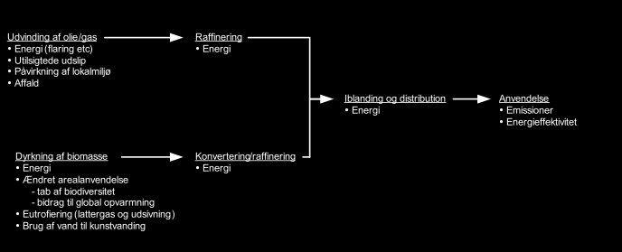 Konvertering av biomasse til drivstoff er nødvendigvis ikke den beste utnyttelse av den tilgjengelige biomasse og den størst mulige CO 2 -besparelser, idet direkte innfyring av biomasse til kraft- og