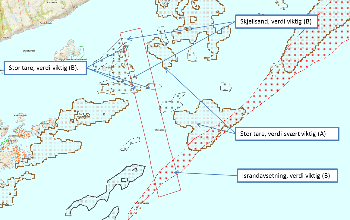 Skadden naturreservat, område sørvest på øya Jomfruland (373 daa) o Avstanden mellom verneområde og eksisterende farled er ca. 2,0-4,0 km.