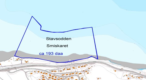 1 Delområde 1 - Stasjonsfjæra Stasjonsfjæra ligger vest for utløpet av Homla og utgjør et grunt, ca.