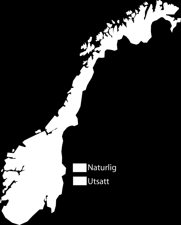 Figur 8. Områder med naturlige og utsatte bestander av sørv i Norge pr. 2012. Hedmark og Oppland Det er ingen kjente forekomster av sørv i Hedmark (jf. Qvenild 2011).