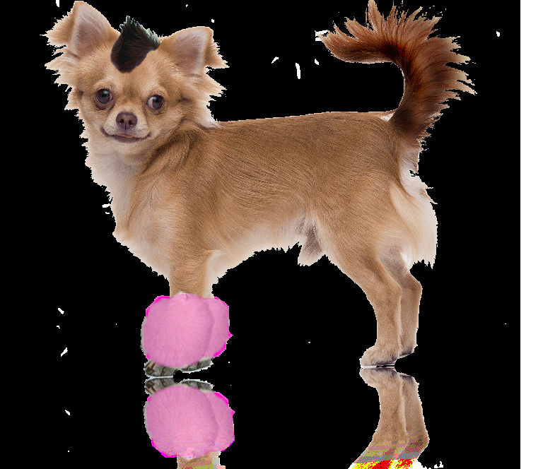 styleyourdog - thedoggiestyler kropp klipp -