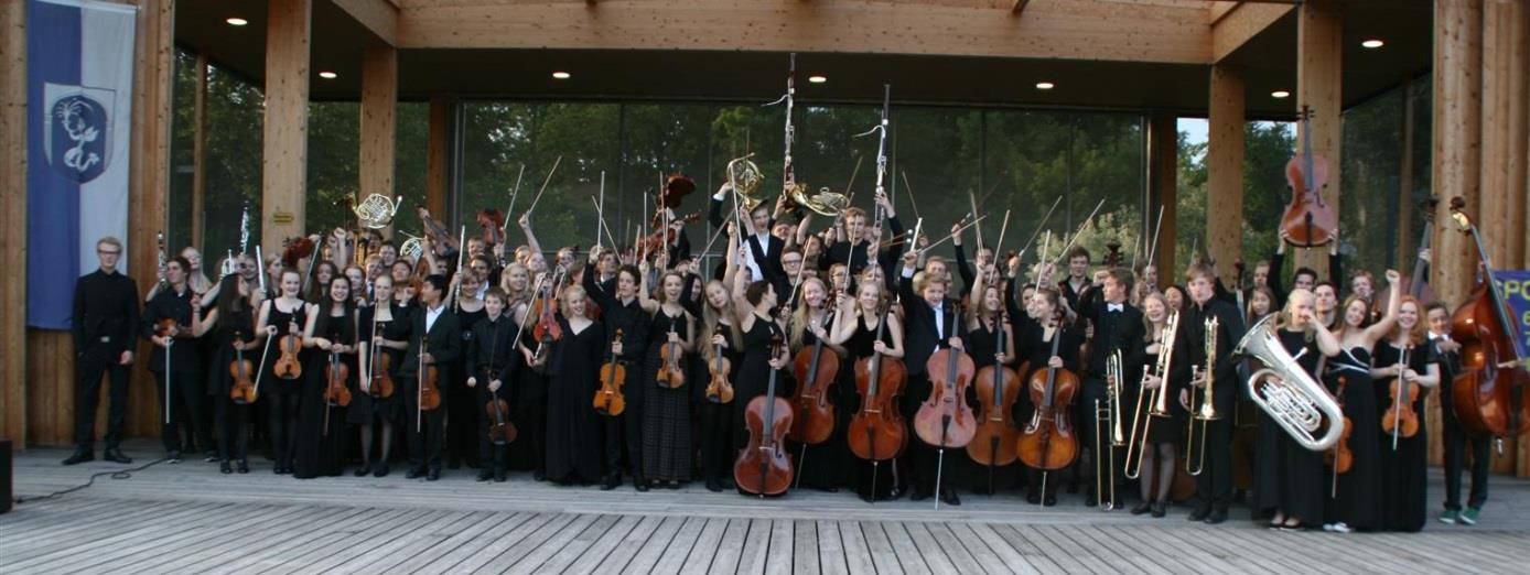 Ensembleledelse og dirigent/instruktørutvikling i det frivillige musikklivet De fleste samspillsituasjoner fordrer en eller annen form for musikalsk ledelse.