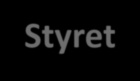 Styret Styreleder KIS AS Nestleder Bo Kenneth Berg Inspecta AS Styremedlem Bjarne Roland Southern Marine Consult AS Styremedlem Knut Dorsey W.