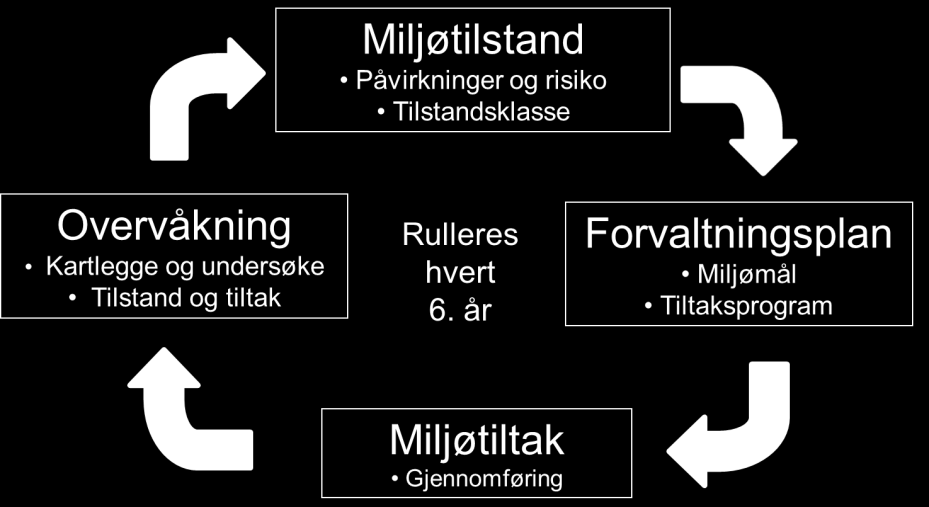 Vannregiongrensen følger vassdrag inn og ut av Agder vannregion.