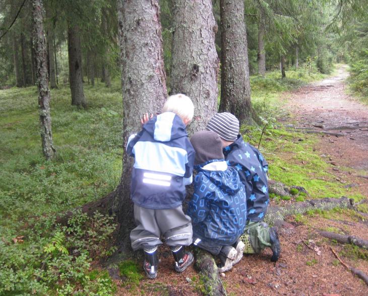 2 Velkommen til Fladbyseter