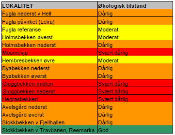 Tabell 2: Vurdering av økologisk status i sidebekker i nedre deler av Stjørdalselva 2.