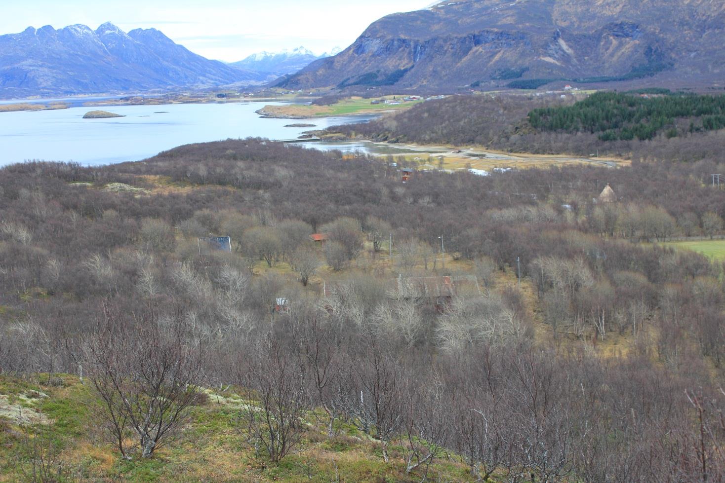 PLANBESKRIVELSE FOR OMRÅDEREGULERINGSPLAN FOR GEITVÅGEN,