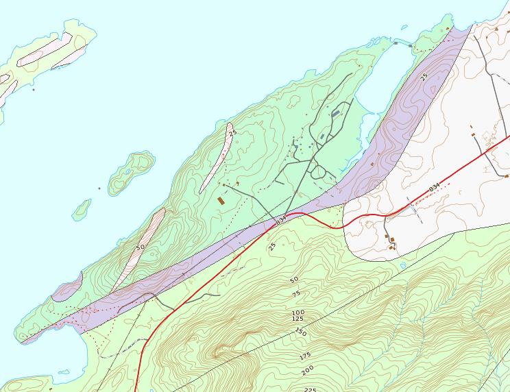 Figur 8: Utsnitt fra NGUs berggrunnskart over området.