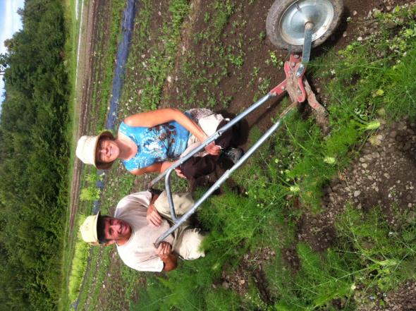 Mål: Om prosjektet Hvilken betydning kan andelslandbruket (Community Supported Agriculture CSA) ha i å fremme kunnskap om og økt produksjon og forbruk av økologisk mat?