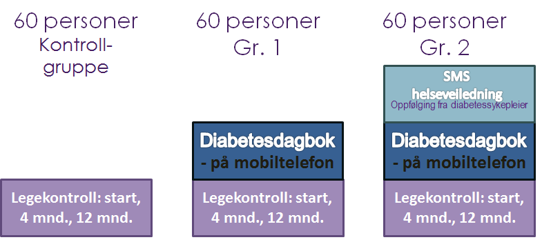 Figur 1. Kontroll- og intervensjonsgrupper Deltakerne i prosjektet kunne følge egne blodsukkermålinger.