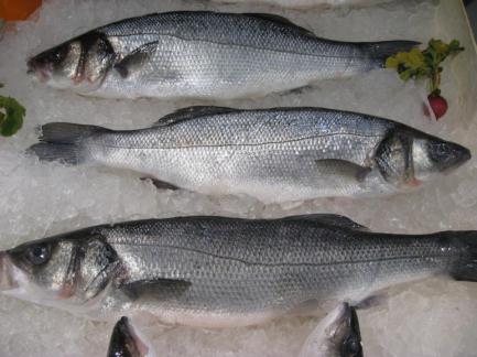 1999 2000 2001 2002 2003 2004 2005 2006 2007 2008 2009 2010 2011 2012E 2013E Sea bass og Sea bream utvikling i pris og produksjon i Middelhavet Produksjon I tonn 50000