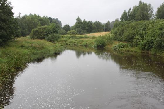 FORELØPIG Lokal tiltaksanalyse for Vannområde