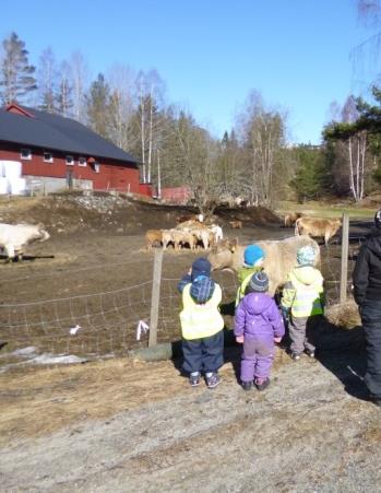 Etikk, religion og filosofi: I dag er Norge et fler kulturelt og multireligiøst samfunn. Barnehagen skal reflektere og respektere det mangfoldet som er representert i vårt samfunn.