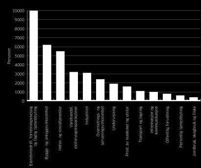 På kort sikt trenger vi flere i: tjenestesektoren bygg- og anlegg varehandel På lang sikt vil det bli Underskudd av: Helsefagarbeidere Sykepleiere Allmennlærere Førskolelærere Sivilingeniører