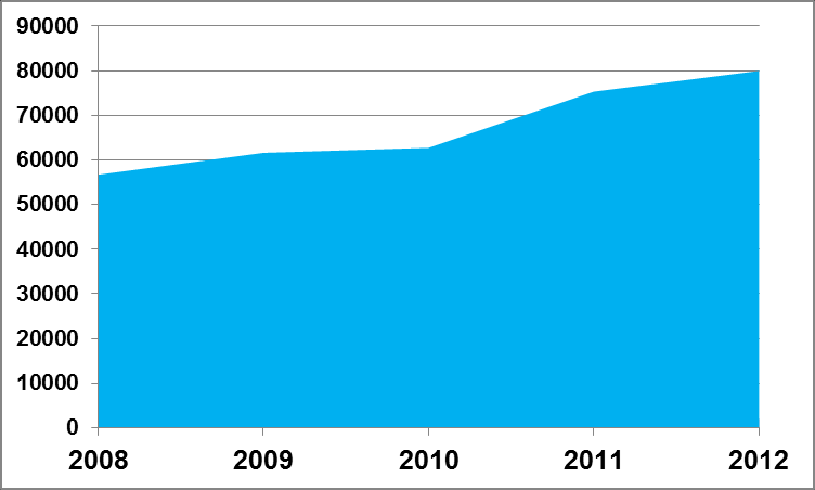 Nettside og kontoar i sosiale medium blei lanserte 2.12., ein månad før den offisielle opninga av Språkåret 2013.