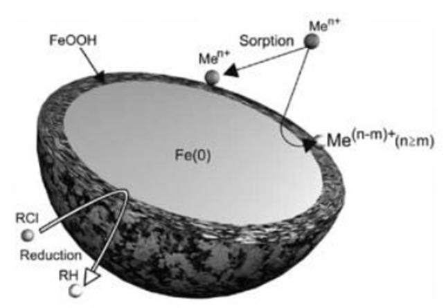 Eks.: Nanoreaktive membraner Nano-jernmembraner (Fe o ) og