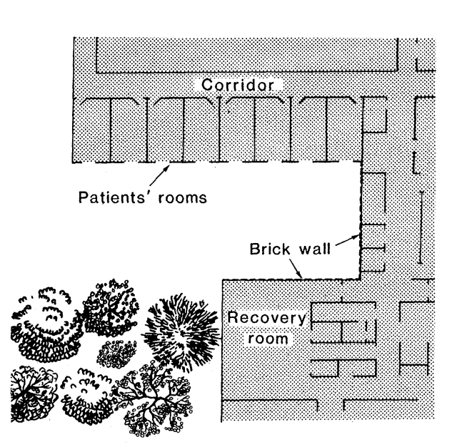 Vindusutsikt - The view through a window may influence recovery from surgery (Ulrich 1984) Rekonvalesens etter en opperasjon Utsikt til murvegg eller en gruppe