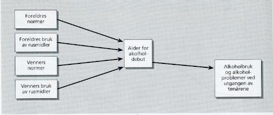 Stidiagram etter Willy Pedersen. Fra boka Bittersøtt Har ungdommene brukt penger på alkohol det siste året? Ingen av de 13 som har brukt alkohol 1 gang har brukt penger på alkohol.